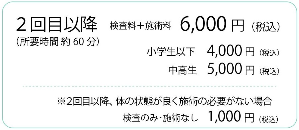 整体施術の料金表